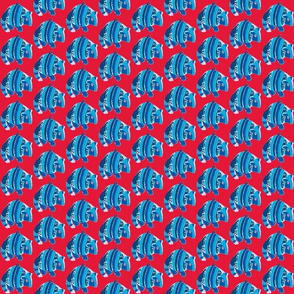 Armadillo, Blue on Red.-ed