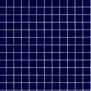 Navy Midnight Express  Windowpane Grid 5/8" 