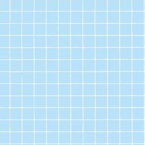 Light Baby Blue  Windowpane Grid 5/8"