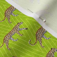 (small scale) Leopards - walking on lemongrass - chevron - LAD20