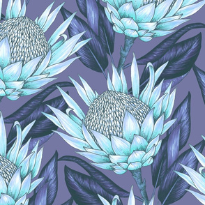 Protea Flowers XL - Blue