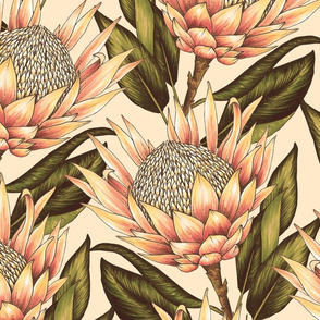 Protea Flowers XL - Cream