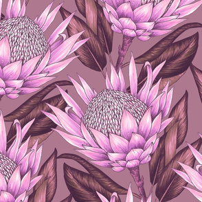 Protea Flowers XL - Mauve