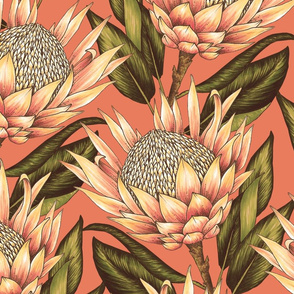 Protea Flowers XL - Orange