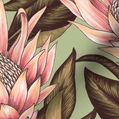 Protea Flowers XL - Sage