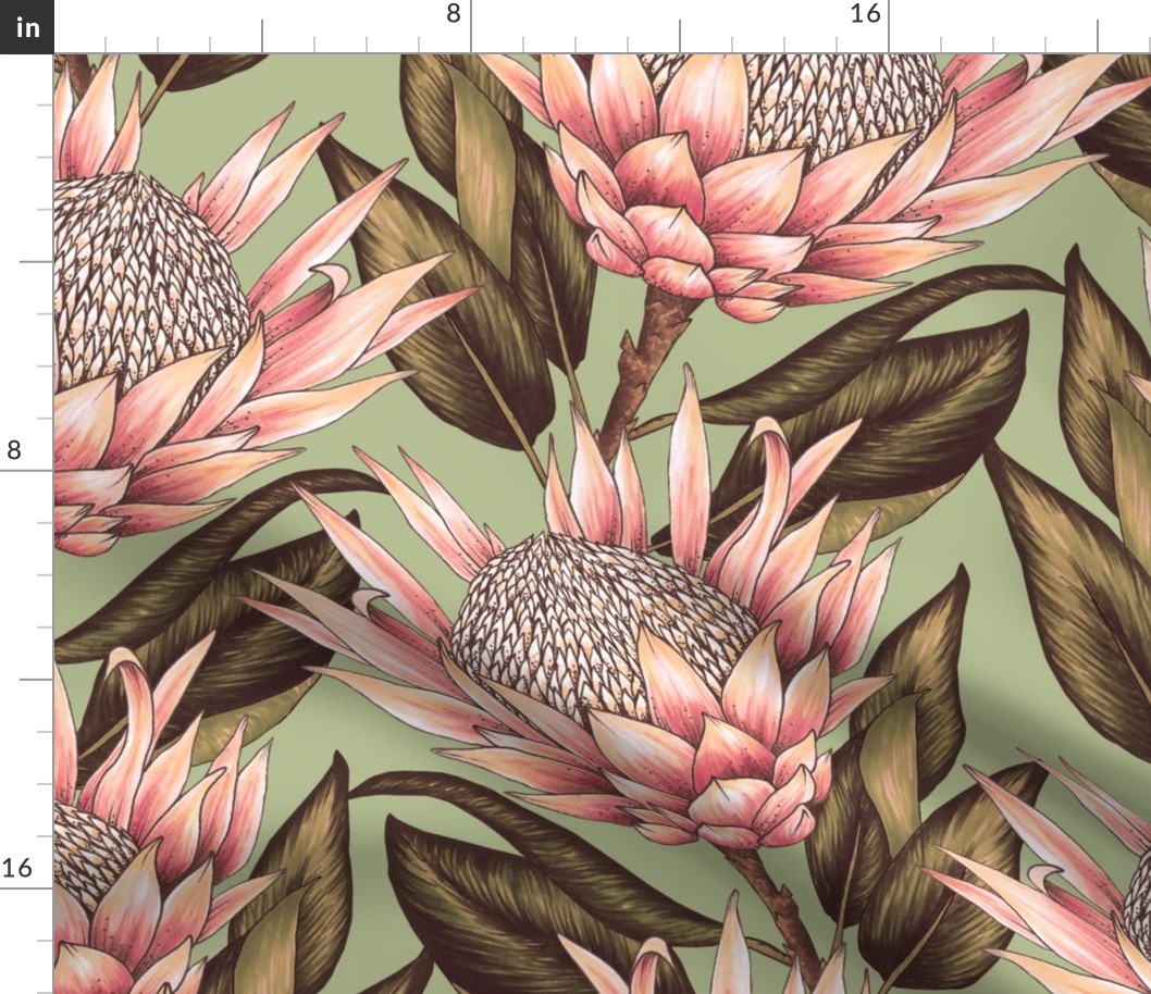 Protea Flowers XL - Sage