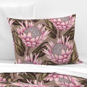 Protea Flowers XL - Taupe and Pink