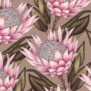 Protea Flowers XL - Taupe and Pink
