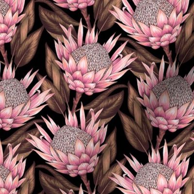 Protea Flowers S - Black