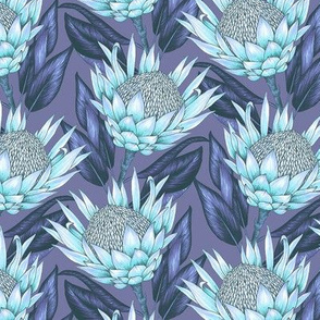 Protea Flowers S - Blue