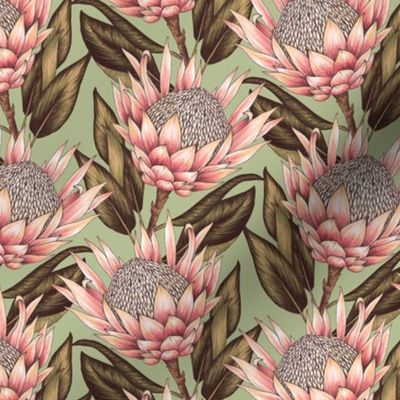 Protea Flowers S - Sage Green