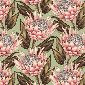 Protea Flowers S - Sage Green