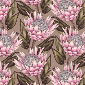 Protea Flowers S - Taupe and Pink