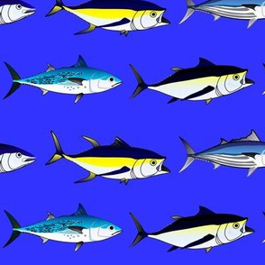 7 Tuna Large on Royal Blue