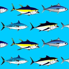 7 Tuna large on sea  blue