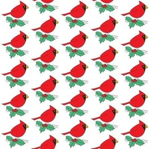 small cardinals and holly