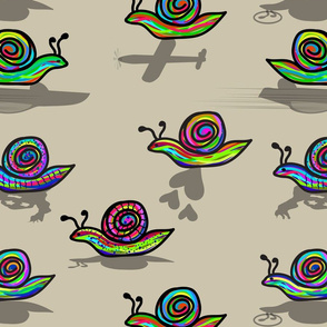 Colorful snails shadows small