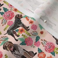 german wirehaired pointer fabric - dog florals, floral dog - pink