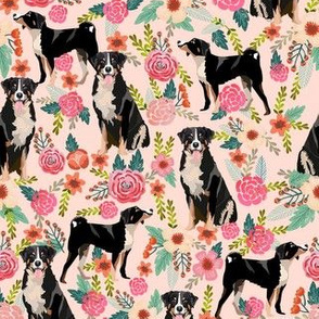 appenzeller sennenhund florals fabric - dog fabric - pink