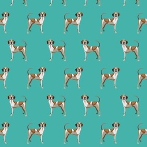 american english coonhound fabric -turquoise