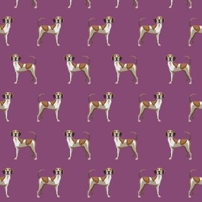 american english coonhound fabric -purple