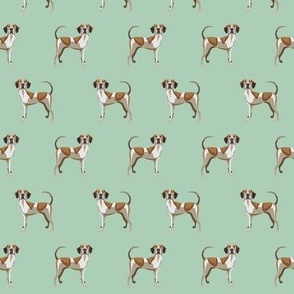 american english coonhound fabric -mint