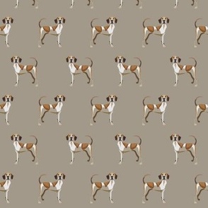 american english coonhound fabric -khaki