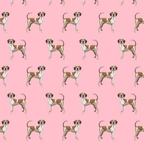 american english coonhound fabric - pink