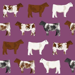 shorthorn cattle  fabric - purple