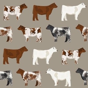 shorthorn cattle  fabric - khaki