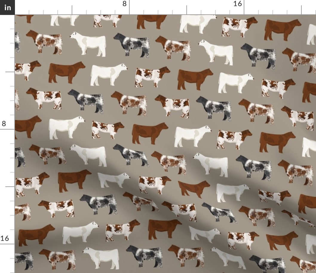 shorthorn cattle  fabric - khaki