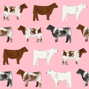 shorthorn cattle  fabric - pink