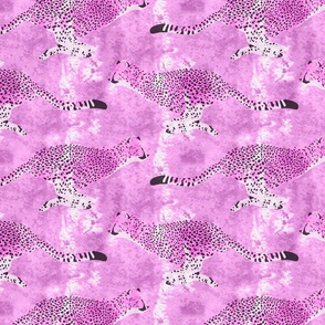 Large Wild racing Cheetahs - hot pink