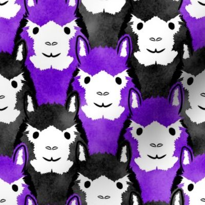 Alpaca pride - ultra purple stripe