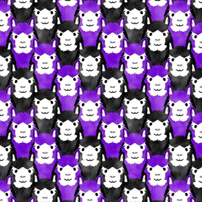 Alpaca pride - ultra purple stripe