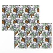 Floral Sable Smooth Collie portraits