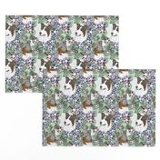 Floral Tri and Merle Smooth Collie portraits