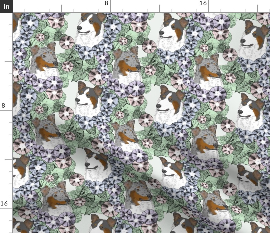 Floral Tri and Merle Smooth Collie portraits