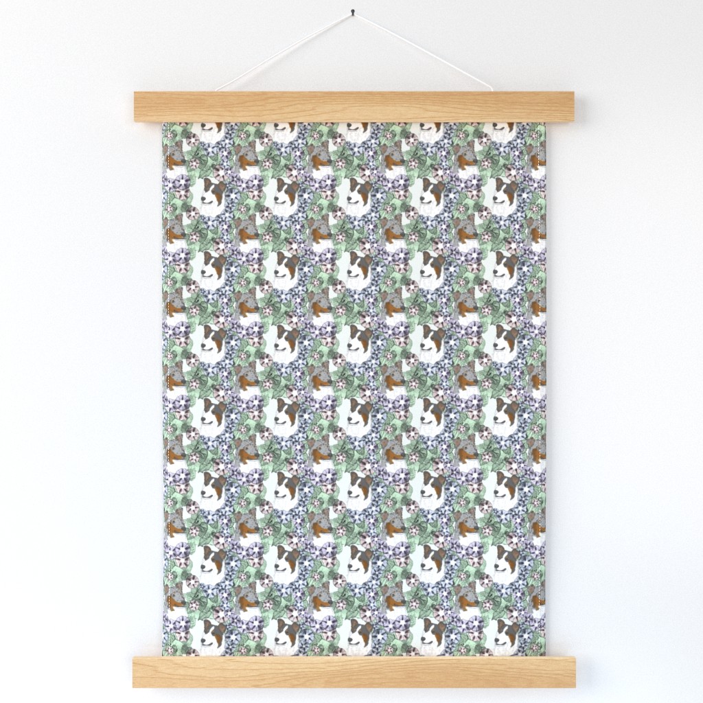 Small Floral Tri and Merle Smooth Collie portraits