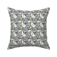 Small Floral Tri and Merle Smooth Collie portraits