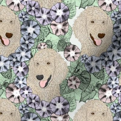 Floral Cream Standard Poodle portraits