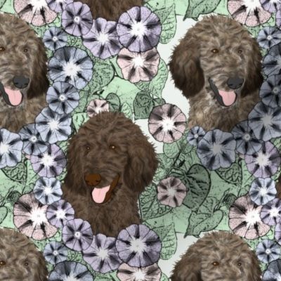 Floral Brindle Standard Poodle portraits