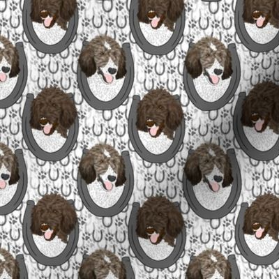 Small Parti Brindle Standard Poodle horseshoe portraits