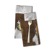 Nosey long coat Flyball Dog faces chocolate white tri