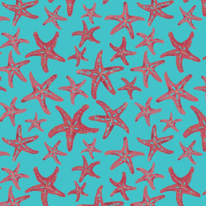 Starfish Coral Turquoise