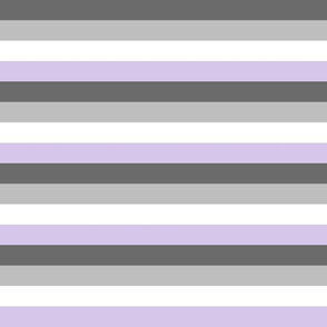 Ace Pride stripes (lighter) - 1/2 inch