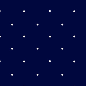 Small polka dot pattern on a dark blue background 