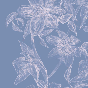 CLEMATIS Blue & White