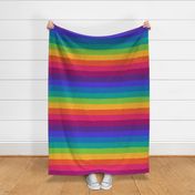 distressed rainbow big flatitude