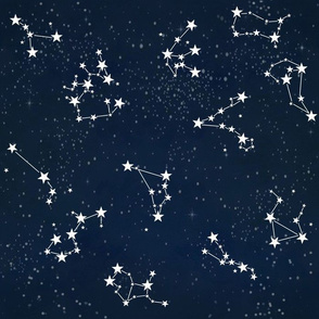 Zodiac Star Constellations